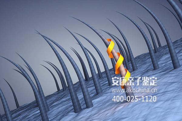 青岛DNA亲子鉴定